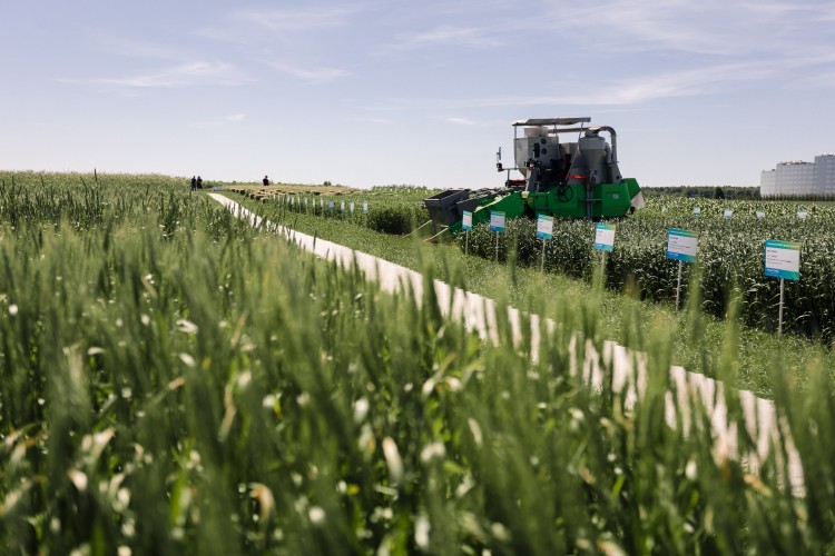 АгроВолга 2022