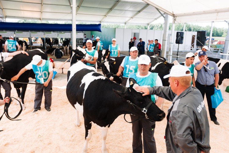 АгроВолга 2022