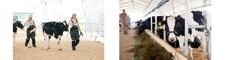 АгроВолга 2022