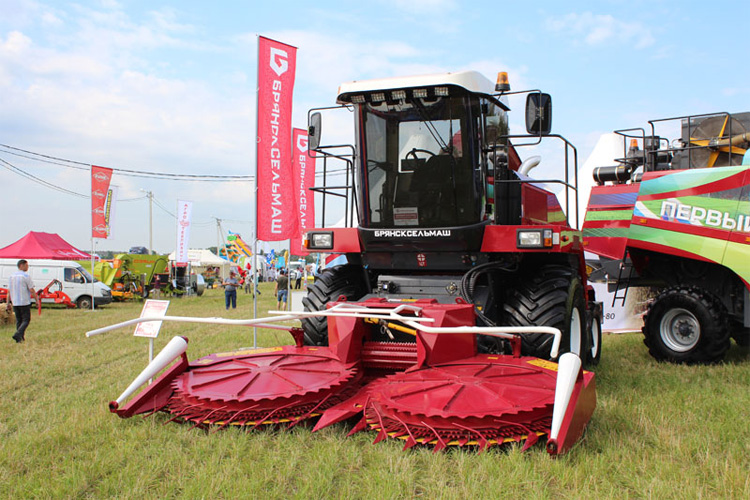 День Брянского поля 2022