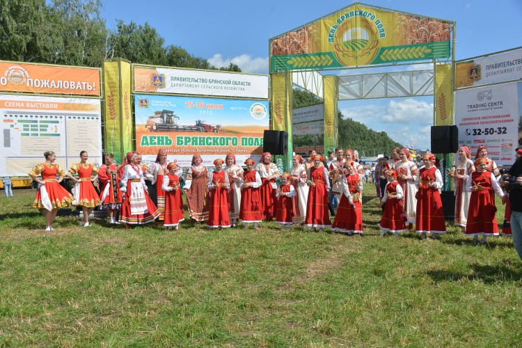 День Брянского поля 2023