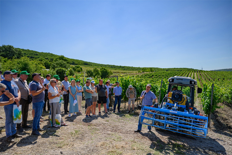 Всероссийский День поля для виноградарей 2023