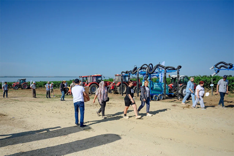 Всероссийский день поля для виноградарей 2025