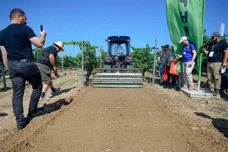 Всероссийский день поля для виноградарей 2025