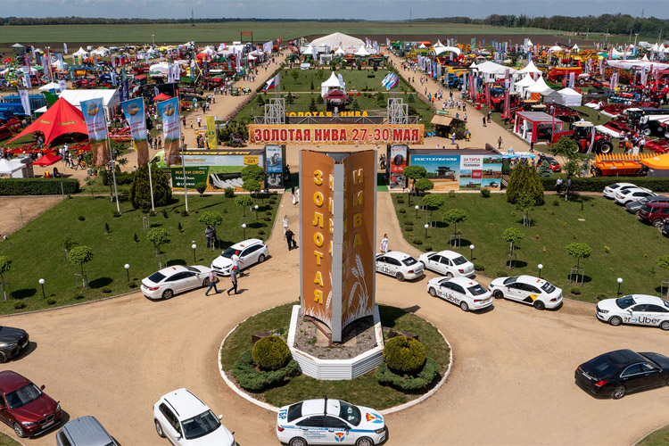 Золотая Нива 2025