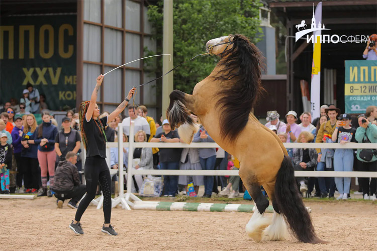 Иппосфера 2025