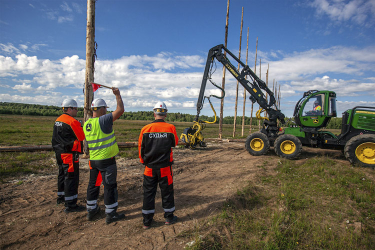 Лесоруб XXI века 2023