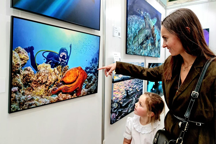 Moscow Dive Show 2024