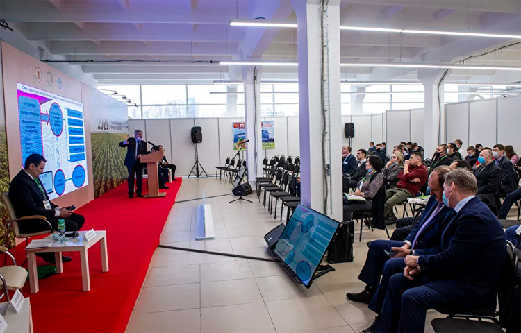 Картофель 2022