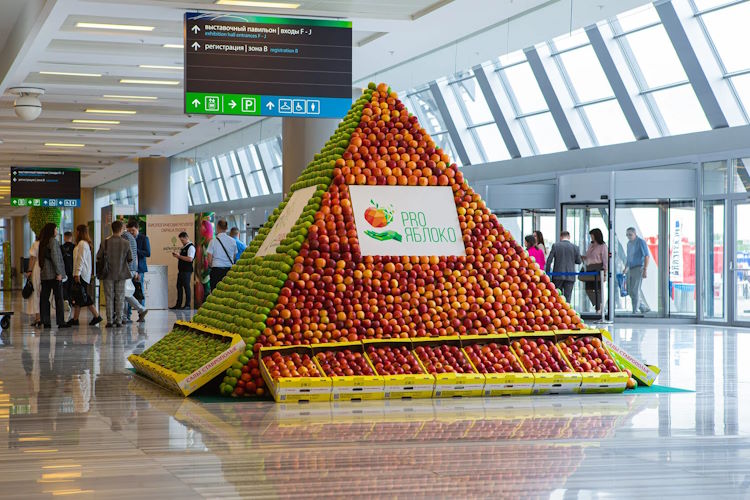 PRO ЯБЛОКО 2023