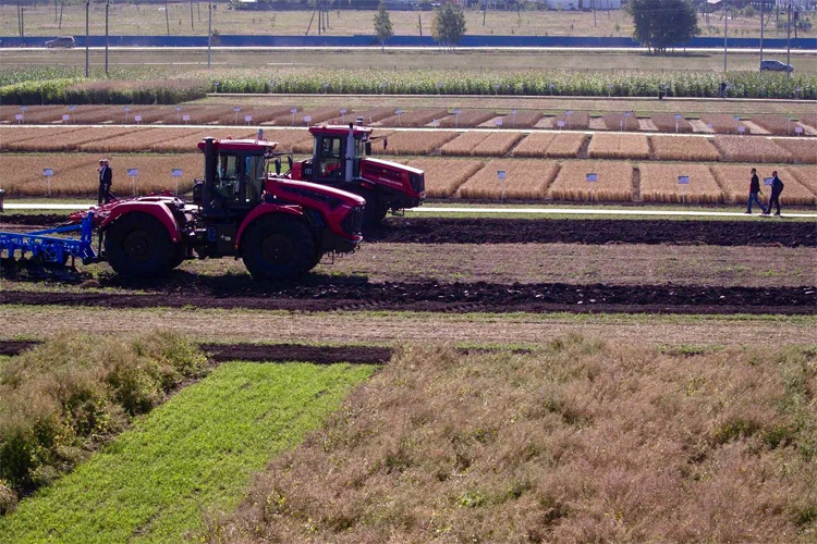 Всероссийский день поля 2022