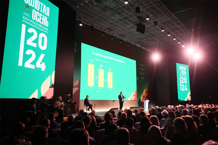 Золотая осень 2025