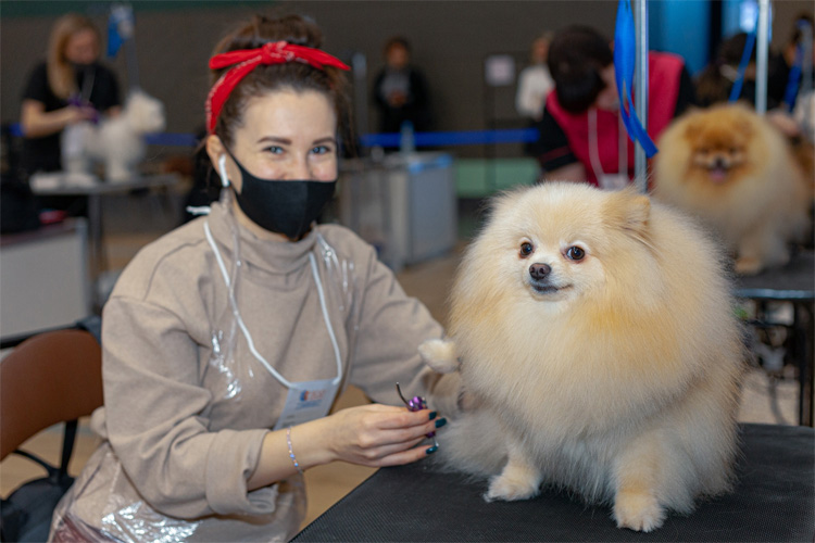 Зооиндустрия 2022